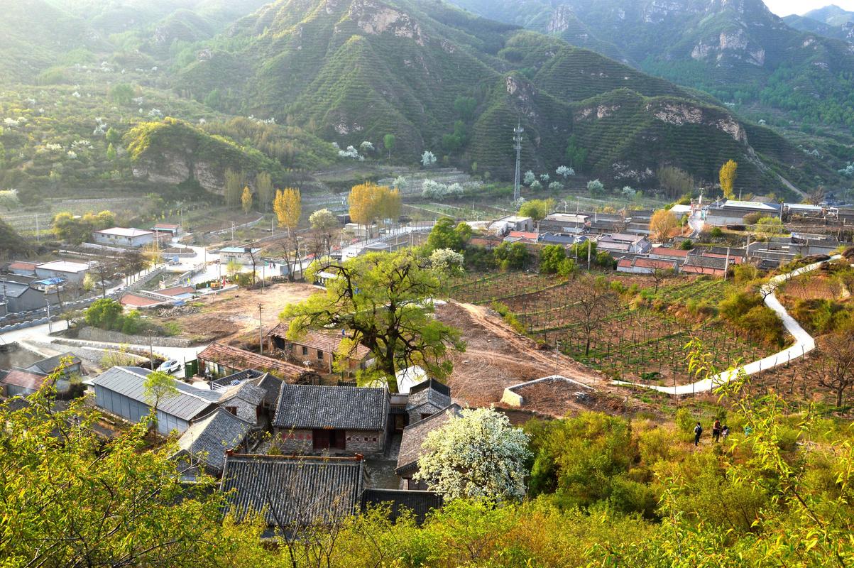 20年，他用镜头记录太行山村振兴之美